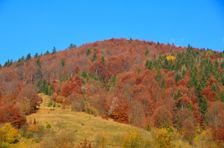 Stráž 968m