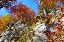 Vysoká stráň, bralo