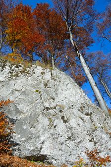Vysoká stráň, bralo