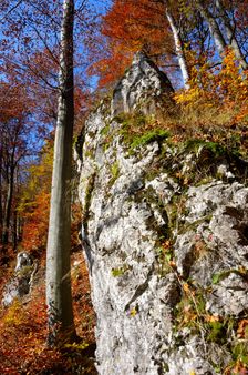 Vysoká stráň, bralo
