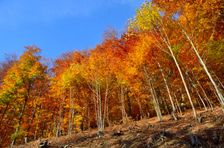 Odchádzajúca červená jeseň