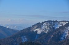 Lopušie, rúbanisko