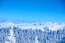 Vlčkovie grúň 1352m