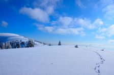 1335m & Zvolen 1403m
