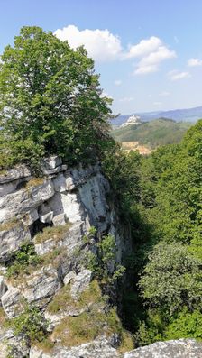 Dreveník a pohľad na Spišský hrad.