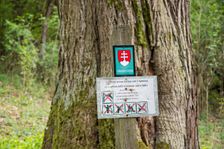 Gaštan nad Vápenkou