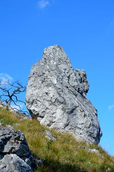 Skalnatý Homer, kužel