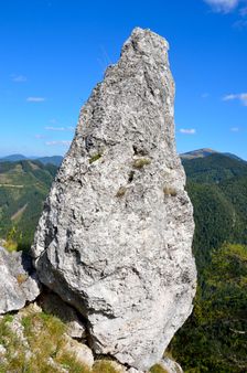 Skalnatý Homer, kužel