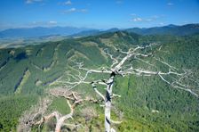 Hradište (Hrosková) 891m & Malá Fatra
