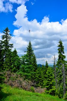 Zadný Drobkov 1344m