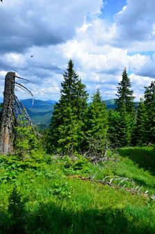 Zadný Drobkov 1344m