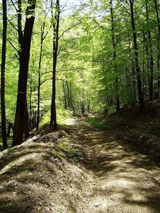 Od Bukovca (modrou) na Sedlo pod Bielou skalou.