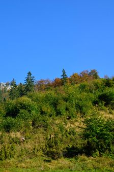 Rúbanisko, omladina