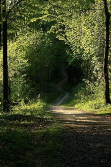 Kamenný hrb, cesta späť (na Jahodnú)