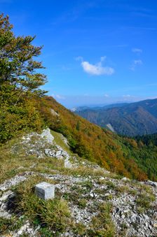 Kozol 1119m, vrcholový kameň