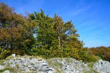 Kozol 1119m, vrcholový kameň