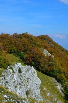 Kozol 1119m, severný vrchol