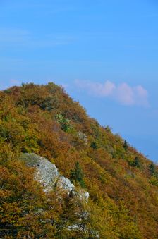 Kozol 1119m, severný vrchol