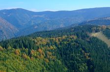 Kobylie 1071m & Minčol 1364m & Zázrivá 1406m