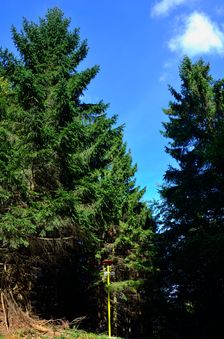 Sedlo Kobylie 980m, smerovník