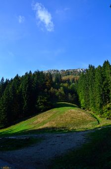 Zvažnica