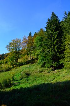 Medzihorská dolina