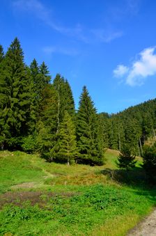Medzihorská dolina