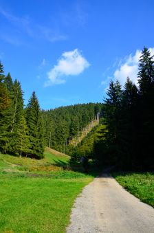 Zvažnica