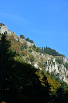 Kozol, terasové bralá