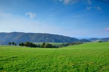 Medzihorská alej & Skalky 778m