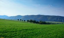 Medzihorská alej & Skalky 778m