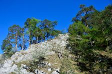 Stará Žihľavná, posledné bralo