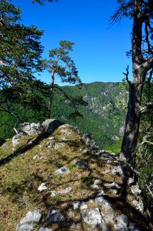 Stará Žihľavná, stredný vrchol