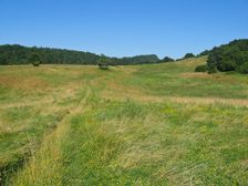 Silická planina