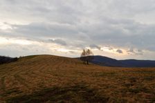 Gazdoráň