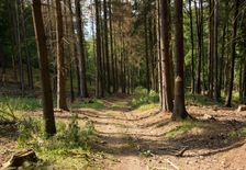 Miestna turistická trasa Hrušové - Nové Mesto nad Váhom