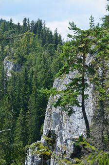 Nechcel sa štverať do skál ale tie ho zastavili 100m od vrcholu
