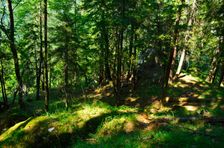 Prudký zostup, terasa