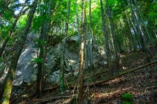 Prudký zostup, bralo