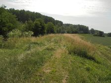 cyklotrasa Sala - Kolarovo