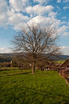 Mníšek nad Hnilcom