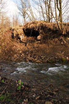Zabudnutá pivnica