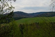 Čierna hora