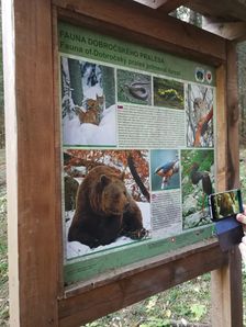 Fauna Dobročského pralesa