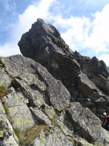 Žabia veža, hrebeň