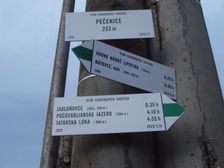 Pečenice