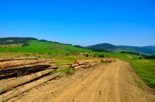 Diel 1051m & Súšava 1077m