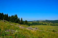 Náhorná plošina Svorad