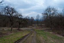 Bývalá Dara