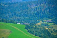 Veľké Borové, veža